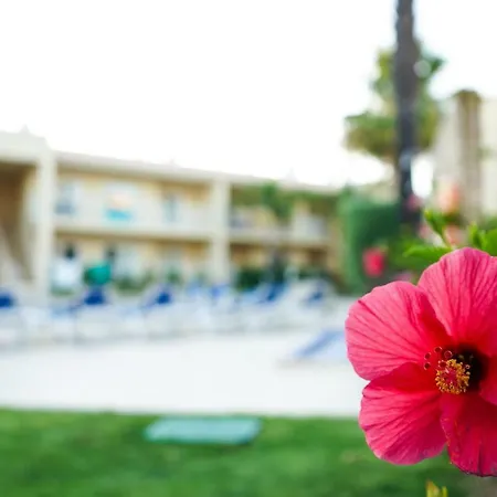 Pool & Beach In Gale *